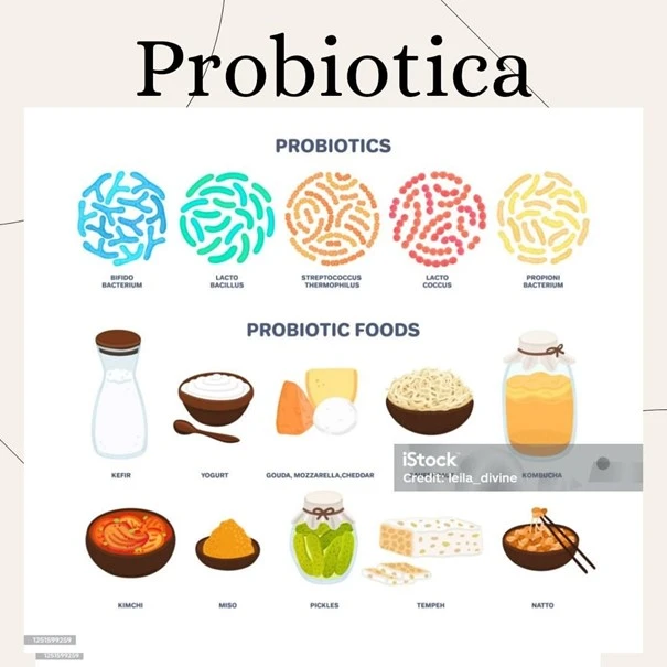 Prebiotica & Probiotica - Bewuste-Keuzes.nl